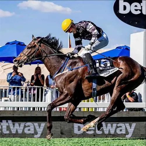 Top Class Racing at Turffontein