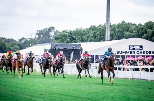 Summer cup 2025